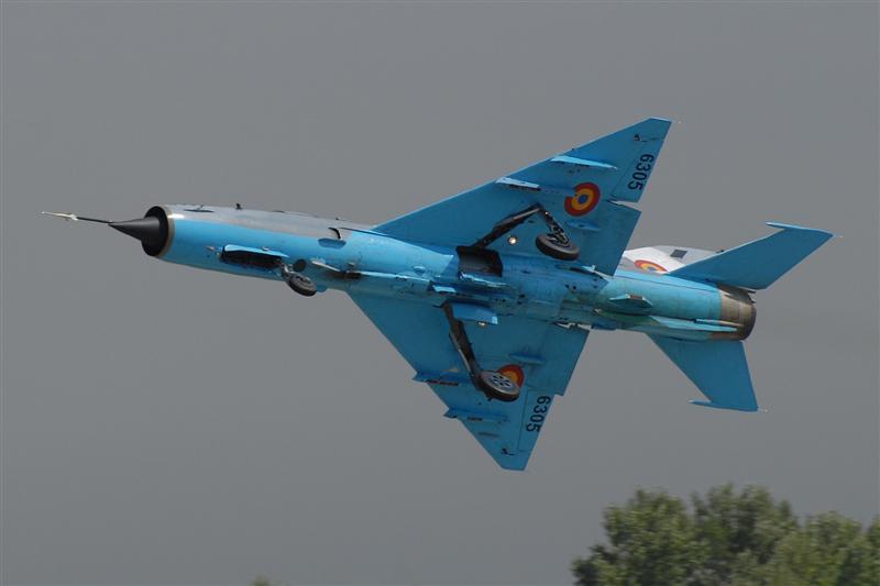 Romanian Lancer display.jpg